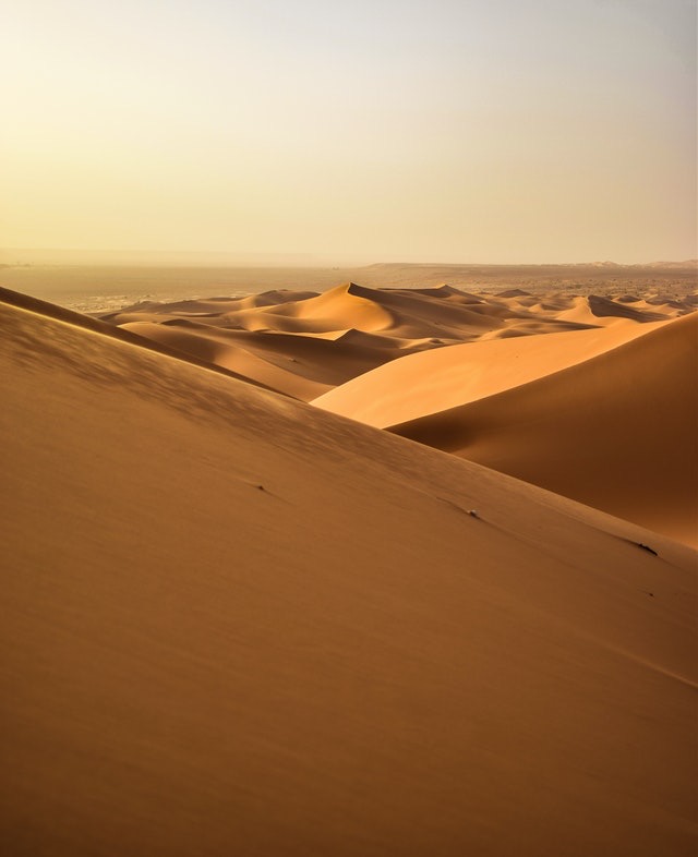 Read more about the article DESERTO